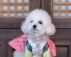 심쿵